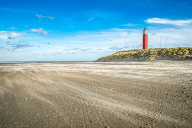 Texel de Koog