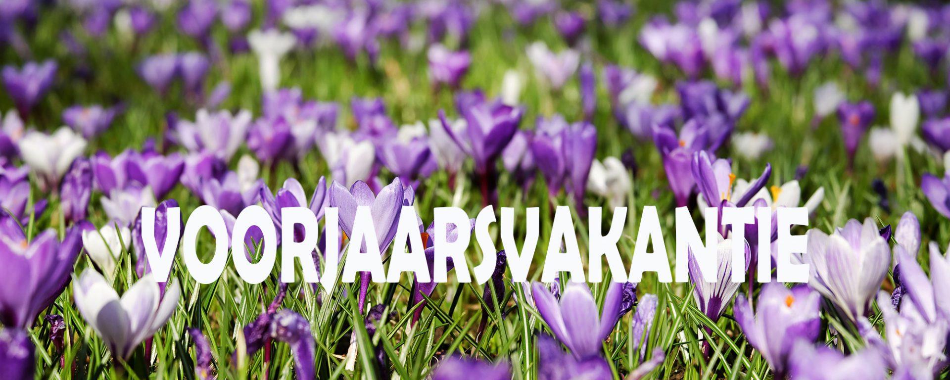 voorjaarsvakantie
