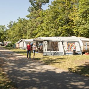 SBG 08 146459 4 3 146473